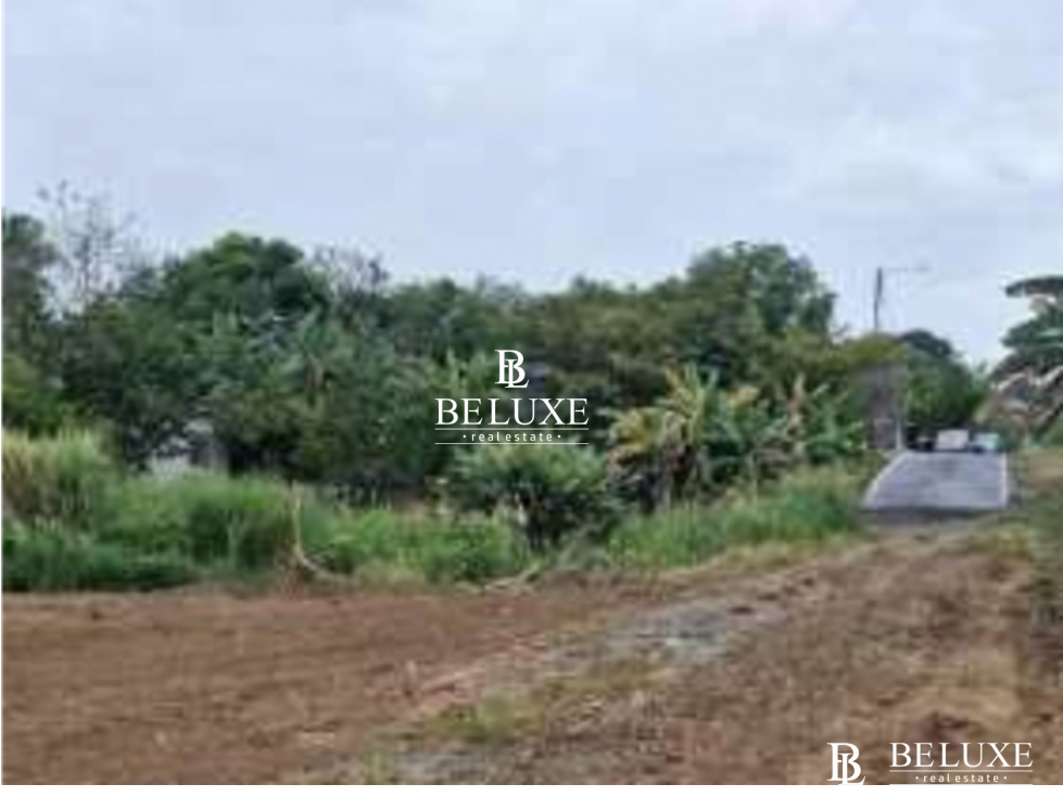 VENTA DE TERRENO COMERCIAL EN LAS MAÑANITAS TOCUMEN (6) — foto 6