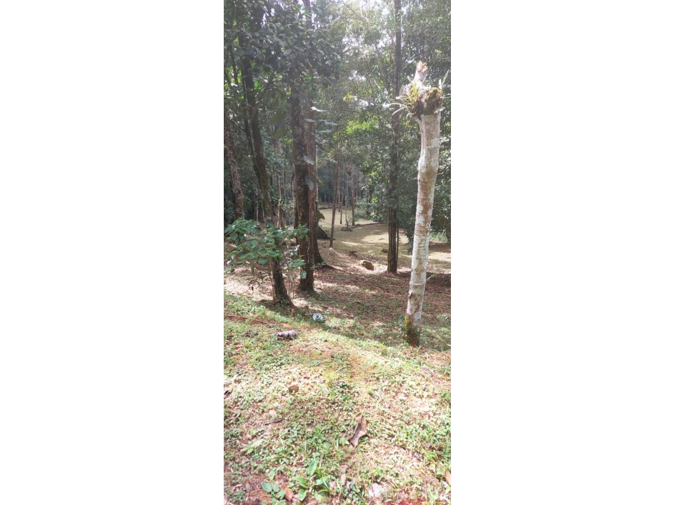 VENTA DE TERRENO ALTOS DE CERRO AZUL (13) — foto 5