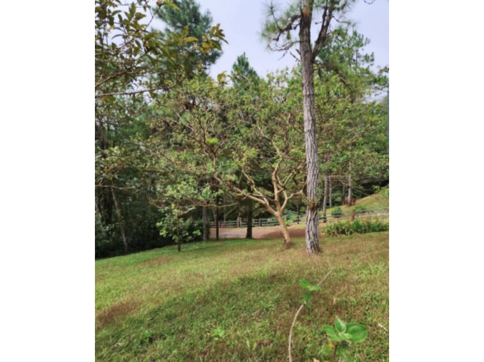 VENTA DE LOTE/ TERRENO EN ALTOS DEL MARÍA (13) — foto 3