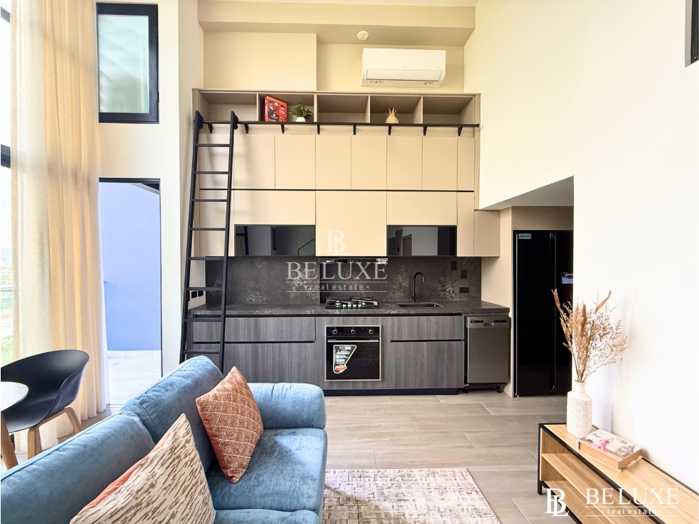 ALQUILO APARTAMENTO AMOBLADO EN PH DOVLE, COCO DEL MAR (19) — foto 3