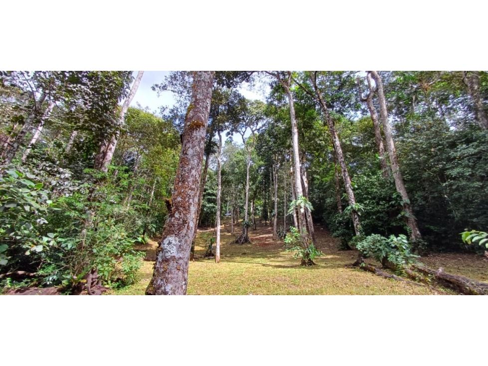 VENTA DE TERRENO ALTOS DE CERRO AZUL (13) — foto 6
