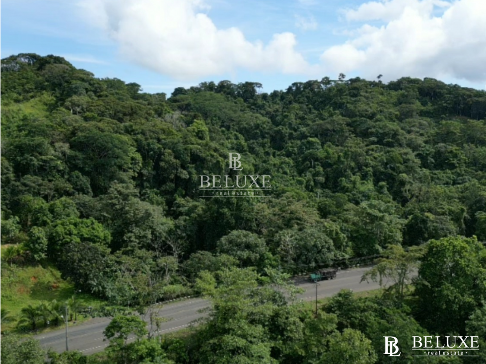 VENDO TERRENO EN COLÓN, OPORTUNIDAD DE INVERSIÓN (13) - 1