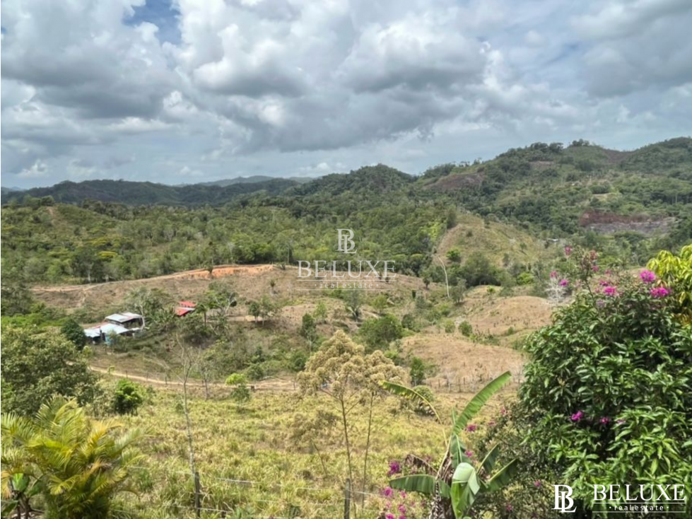 VENDO LOTE EN CAPIRA (20) — foto 5