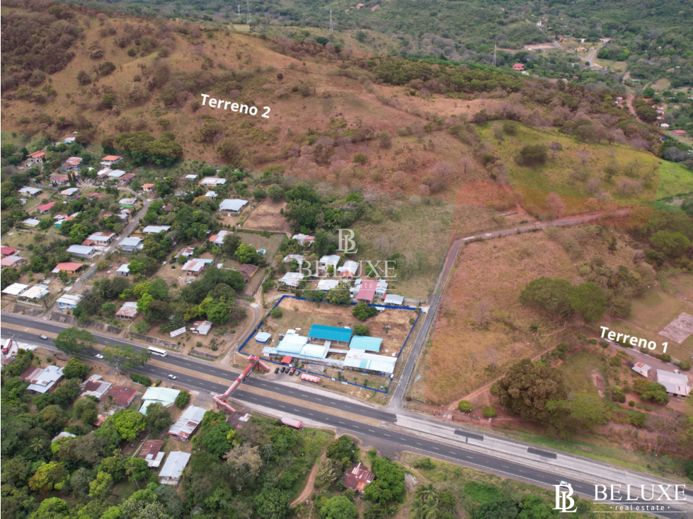 VENDO TERRENO FRENTE A CARRETERA INTERAMERICANA EN CHAME (1)