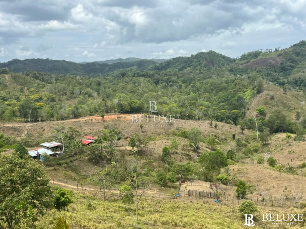 VENDO LOTE EN CAPIRA (20) — foto 6