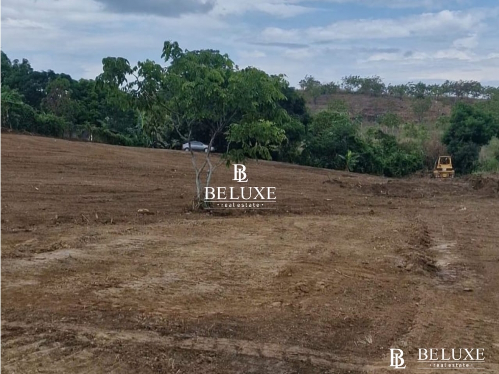 VENTA DE TERRENO COMERCIAL EN LAS MAÑANITAS TOCUMEN (6)