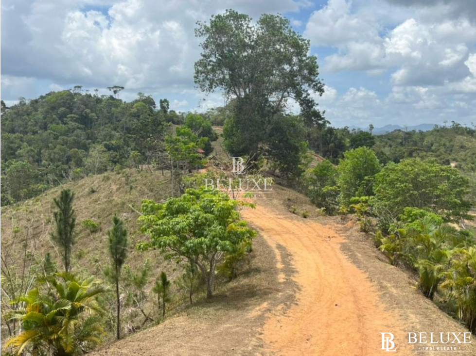 VENDO LOTE EN CAPIRA (20)