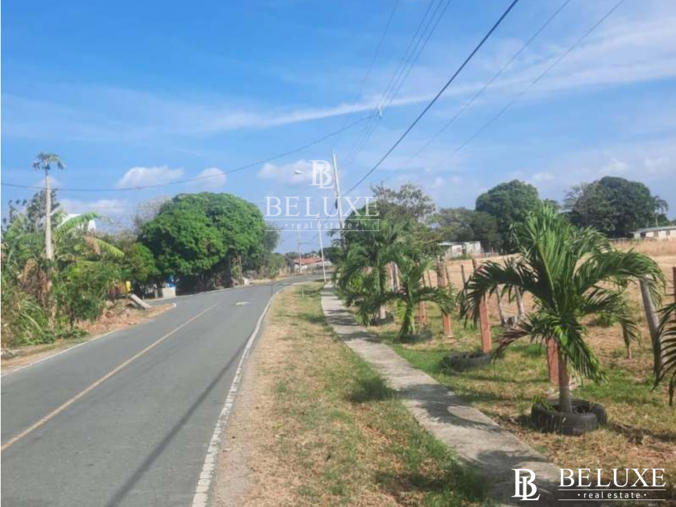 VENTA DE TERRENO FRENTE AL MAR CORONADO (6) — foto 2