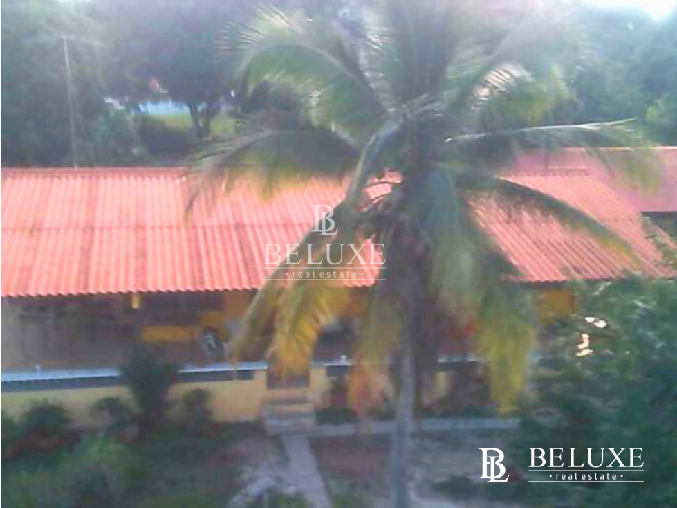 VENDO TERRENO EN GORGONA (6) — foto 6