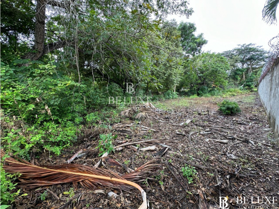 VENDO TERRENO EN CORONADO (7) — foto 2