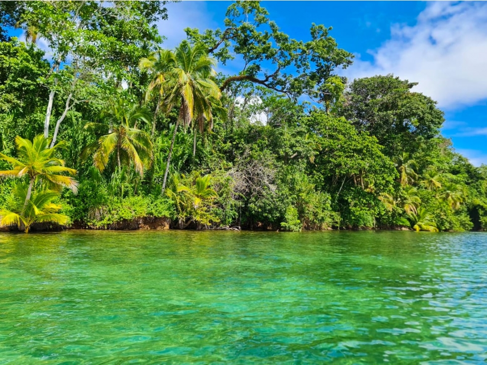 VENTA DE TERRENO FRENTE AL MAR, ISLA POPA, BOCAS DEL TORO(13) - 3