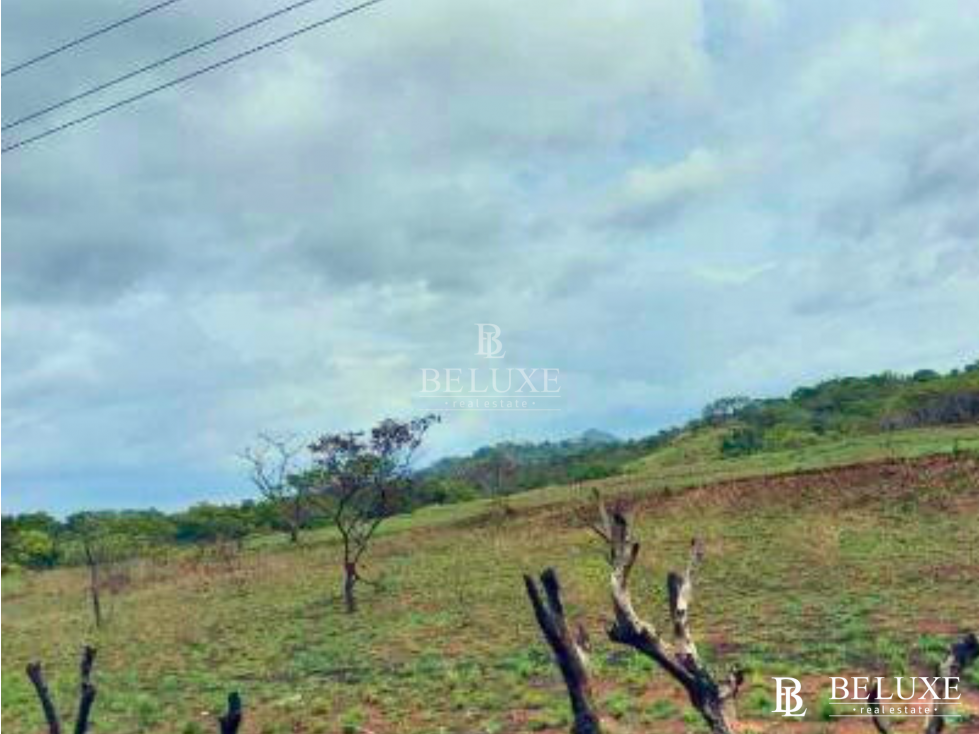 VENDO FINCA EN CIUDAD BOLÍVAR (9) - 5