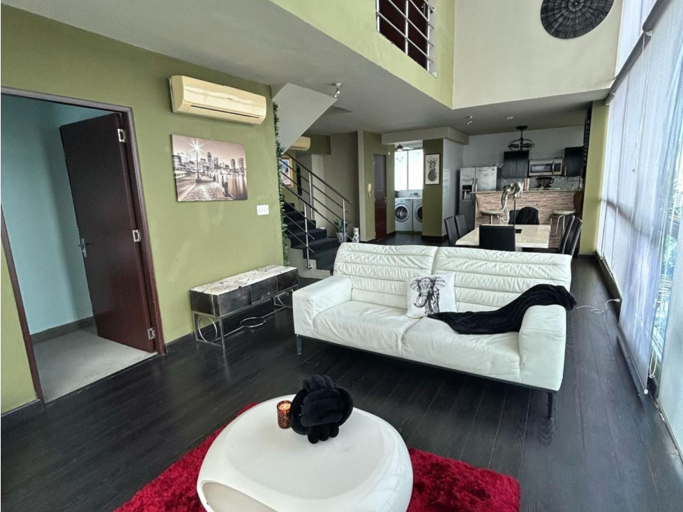 ALQUILO APARTAMENTO AMOBLADO EN SAN FRANCISCO PH PARK LOFT (3) - 3