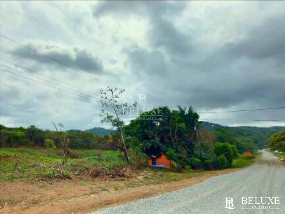 VENDO FINCA EN CIUDAD BOLÍVAR (9) - 6