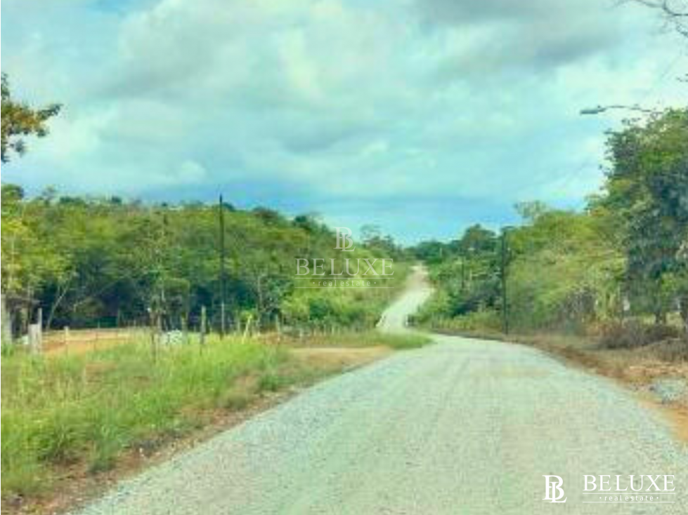 VENDO FINCA EN CIUDAD BOLÍVAR (9) - 3