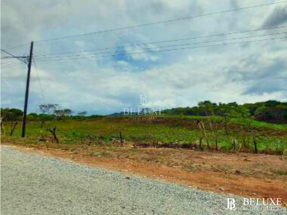 VENDO FINCA EN CIUDAD BOLÍVAR (9) - 4