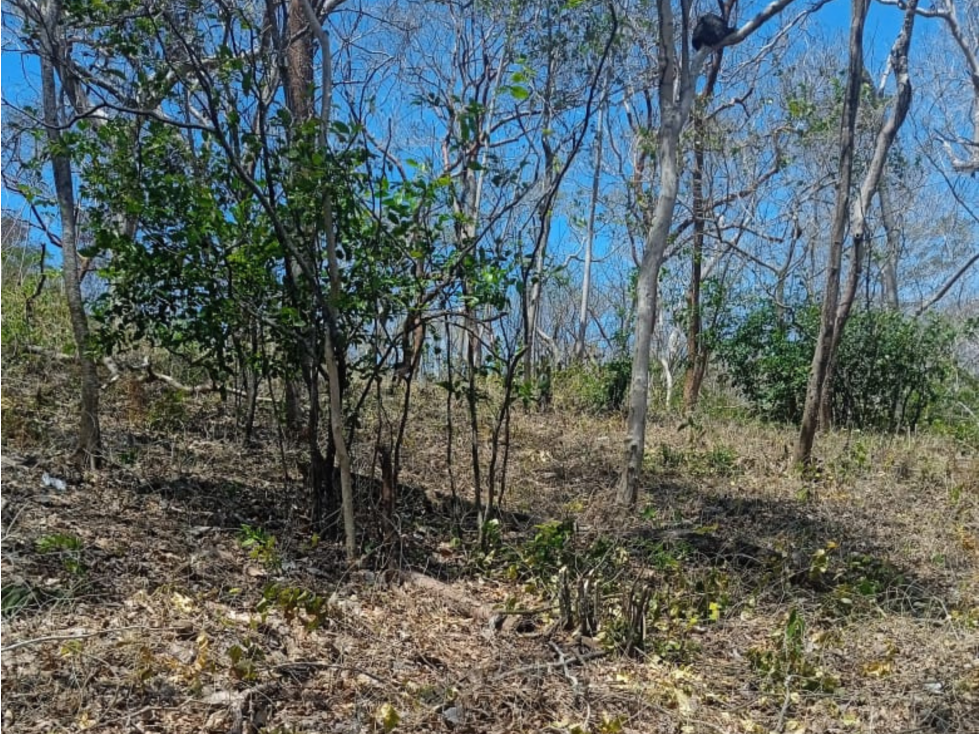 VENTA DE TERRENO CON VISTA AL MAR EN SABOGA, LAS PERLAS (6) - 2