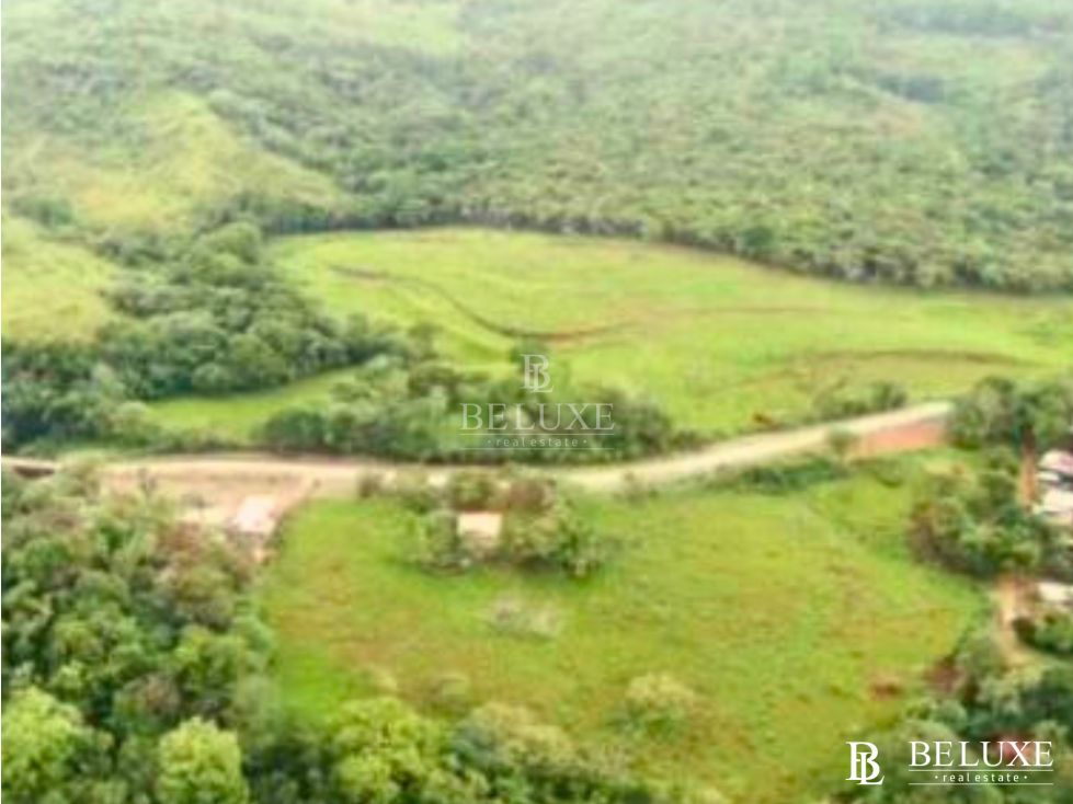 VENDO FINCA EN CIUDAD BOLÍVAR (9) - 2