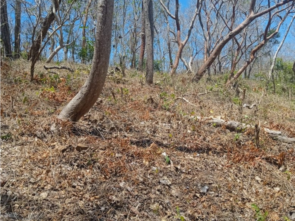 VENTA DE TERRENO CON VISTA AL MAR EN SABOGA, LAS PERLAS (6) - 4
