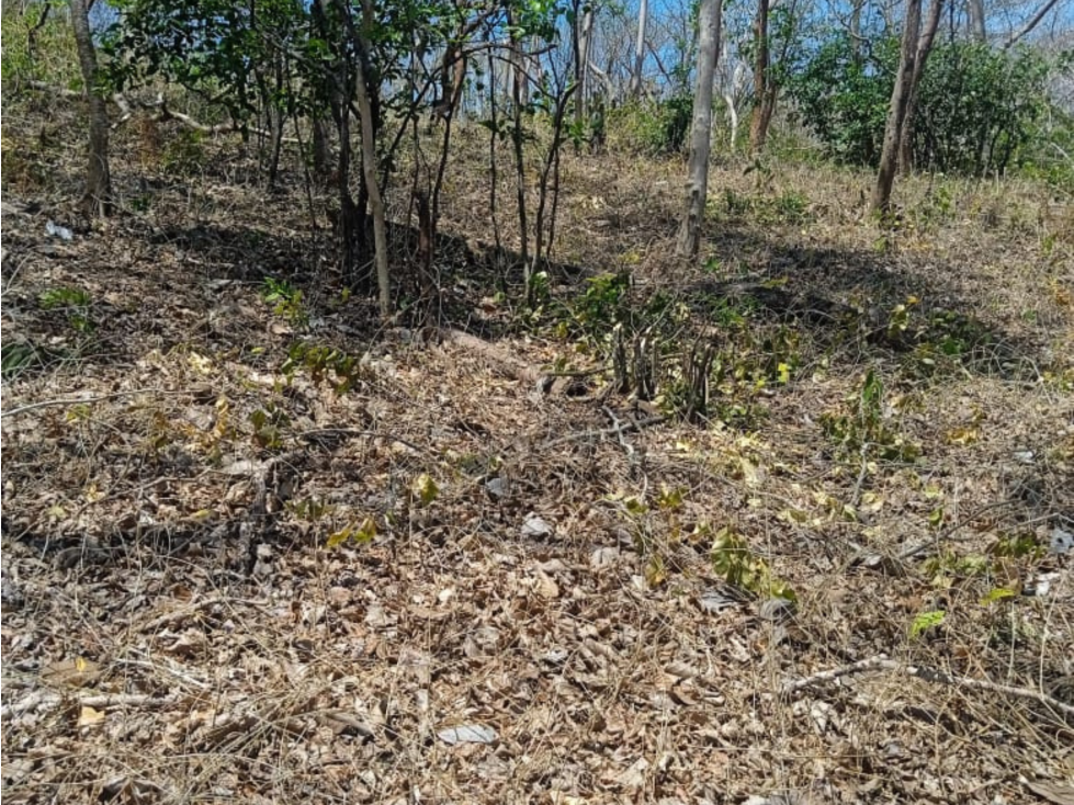 VENTA DE TERRENO CON VISTA AL MAR EN SABOGA, LAS PERLAS (6) - 5