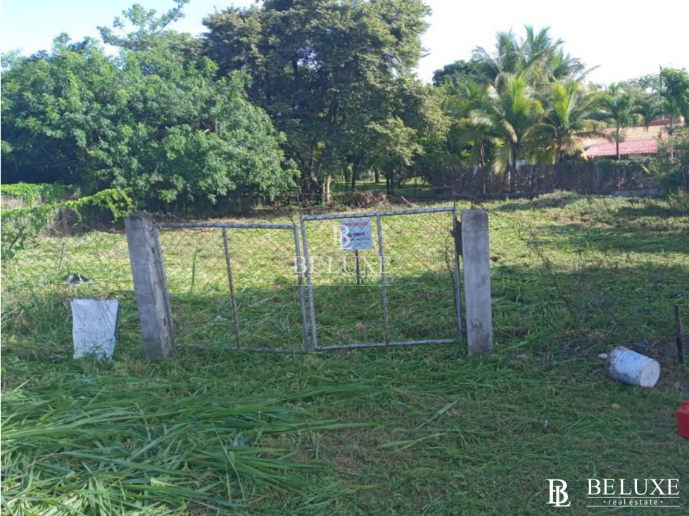 VENDO TERRENO EN CORONADO (13) — foto 2