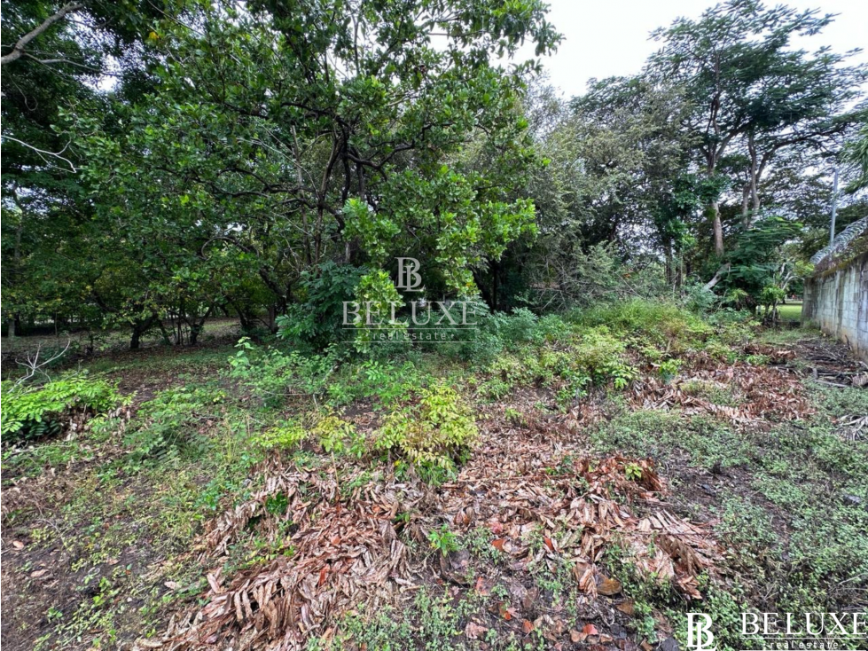 VENDO TERRENO EN CORONADO (7) — foto 3