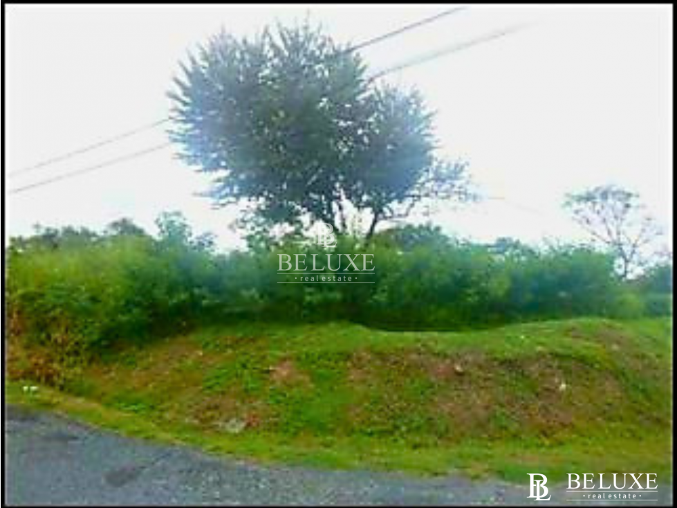 VENTA DE TERRNO EN CORONADO, PLAYA GORGONA (6) — foto 3