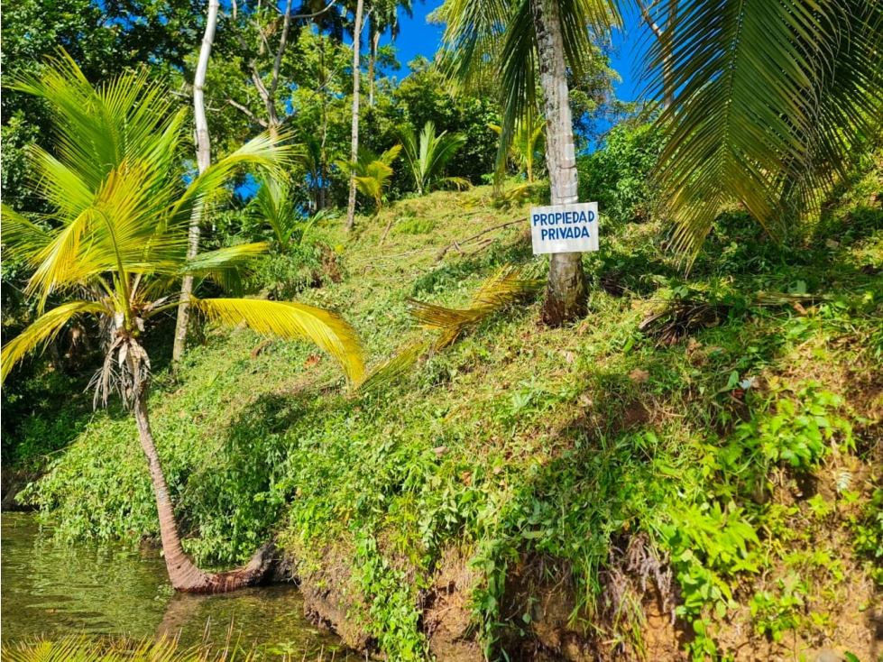 VENTA DE TERRENO FRENTE AL MAR, ISLA POPA, BOCAS DEL TORO(13) - 4