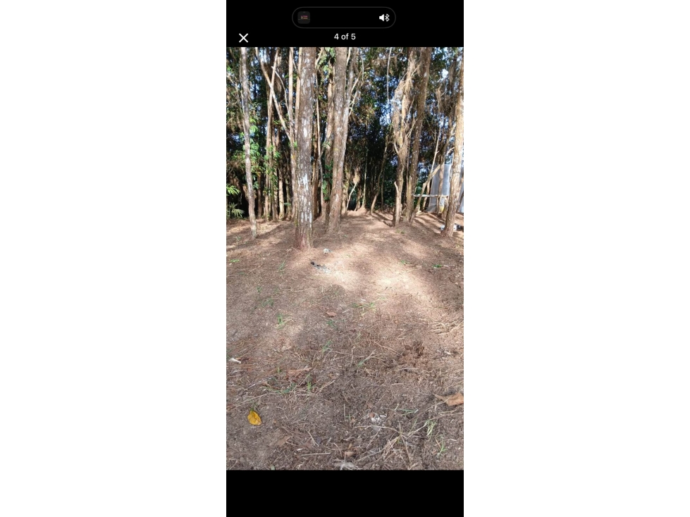 VENTA DE TERRENO EL TORREON, ALTOS DE CERRO AZUL (13) - 4