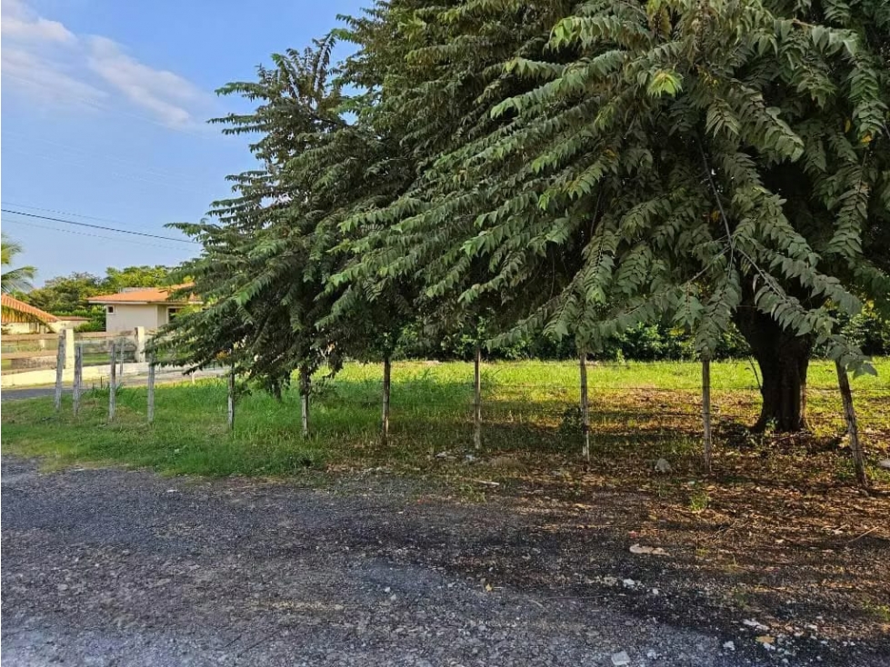 VENDO TERRENO EN NUEVA GORGONA CHAME (6) — foto 4