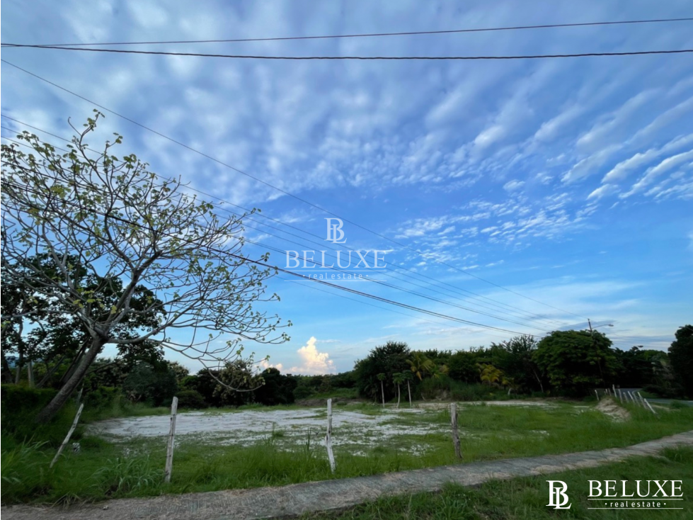 VENTA DE TERRENO, LAS LAJAS CORONADO (13) — foto 4