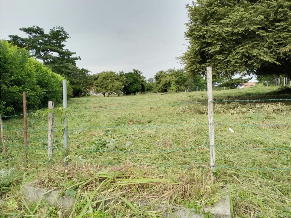 VENDO TERRENO EN NUEVA GORGONA CHAME (6) — foto 5