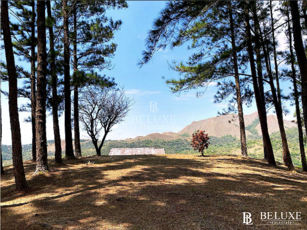 VENDO TERRENO/ LOTE PARA DESARROLLO EN VALLE DE ANTON (6) - 2