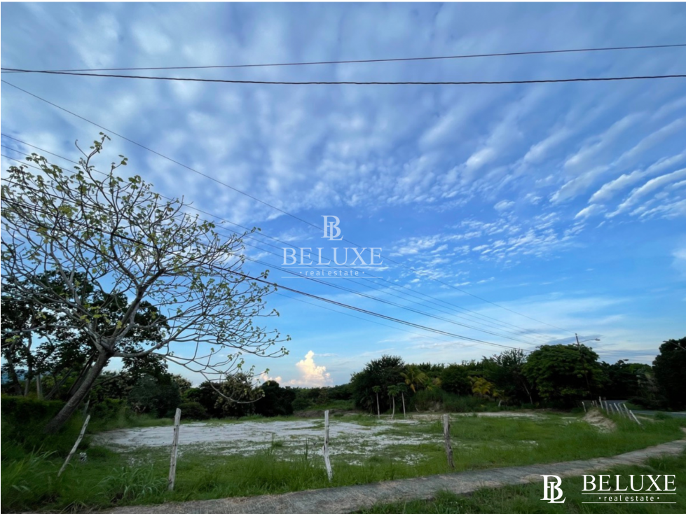 VENTA DE TERRENO, LAS LAJAS CORONADO (13) — foto 5