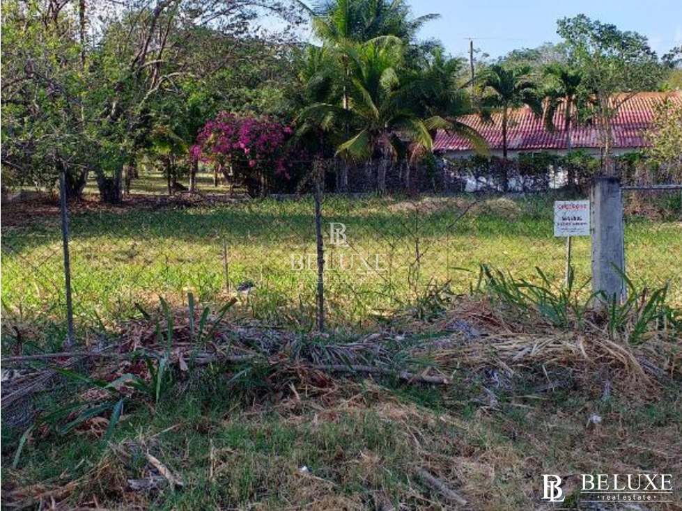 VENDO TERRENO EN CORONADO (13) — foto 5