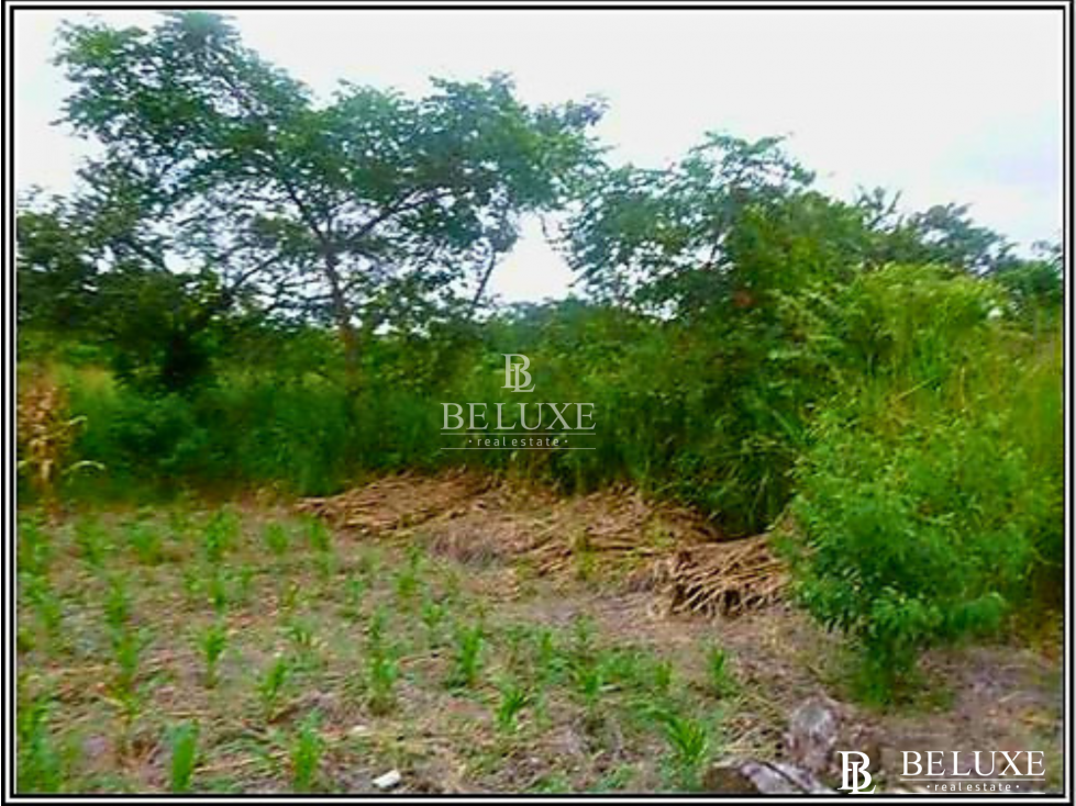 VENTA DE TERRENO EN CORONADO, PLAYA GORGONA (6) — foto 5
