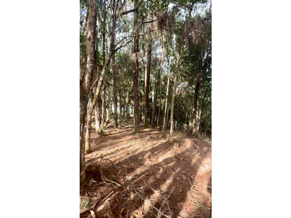 VENTA DE TERRENO EL TORREON, ALTOS DE CERRO AZUL (13) - 1