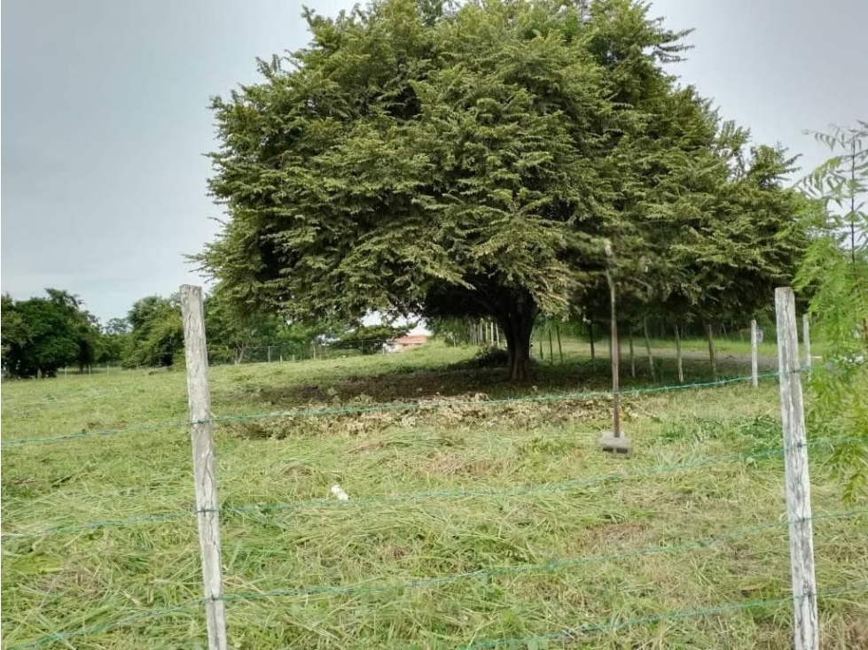 VENDO TERRENO EN NUEVA GORGONA CHAME (6) — foto 6