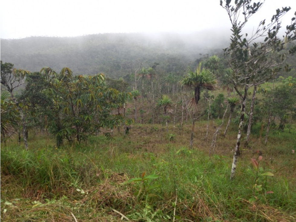 VENTA DE TERRENO EN CERRO AZUL (13R) - 2