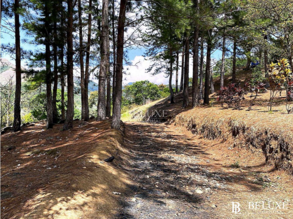 VENDO TERRENO/ LOTE PARA DESARROLLO EN VALLE DE ANTON (6) - 1