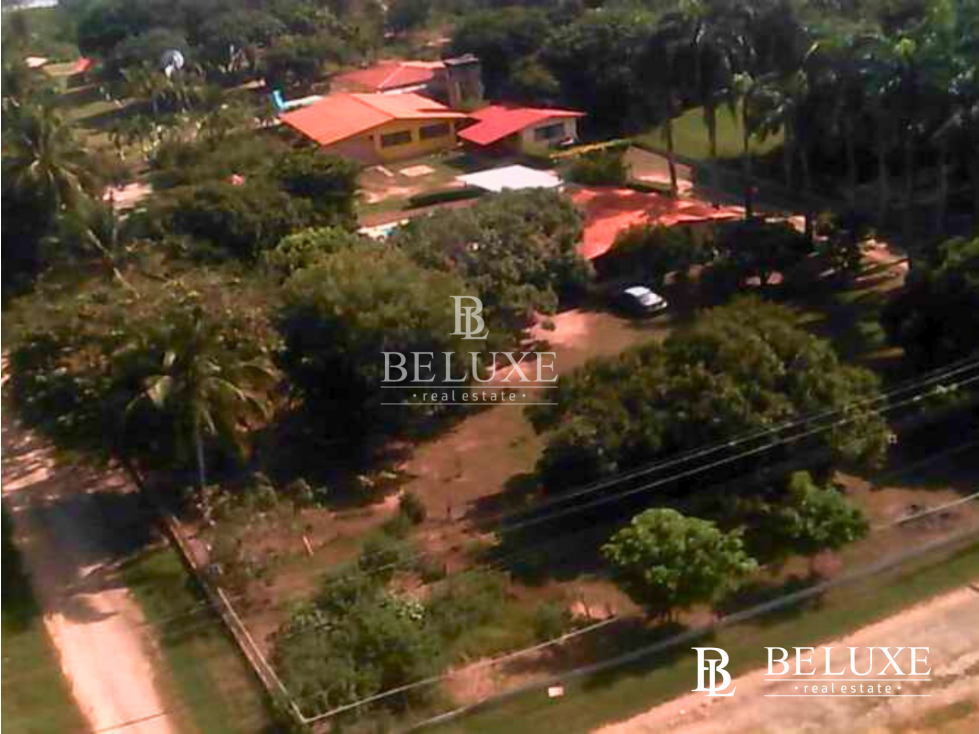 VENDO TERRENO EN GORGONA (6) — foto 4