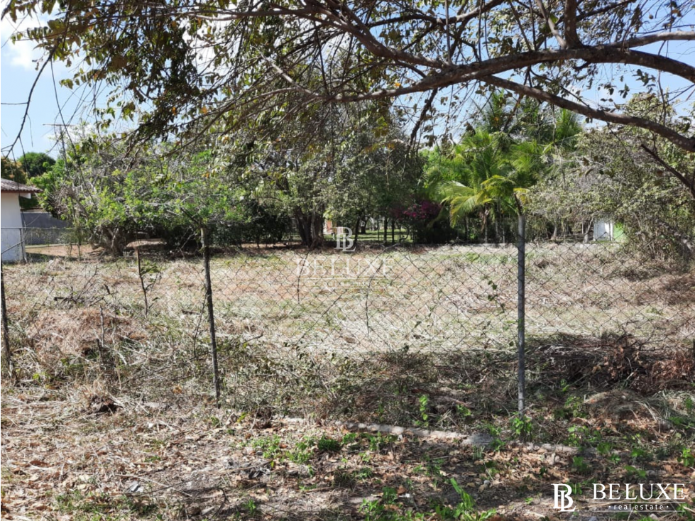 VENDO TERRENO EN CORONADO (13) — foto 3