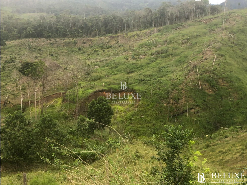 VENDO LOTE EN CAPIRA (20) — foto 4