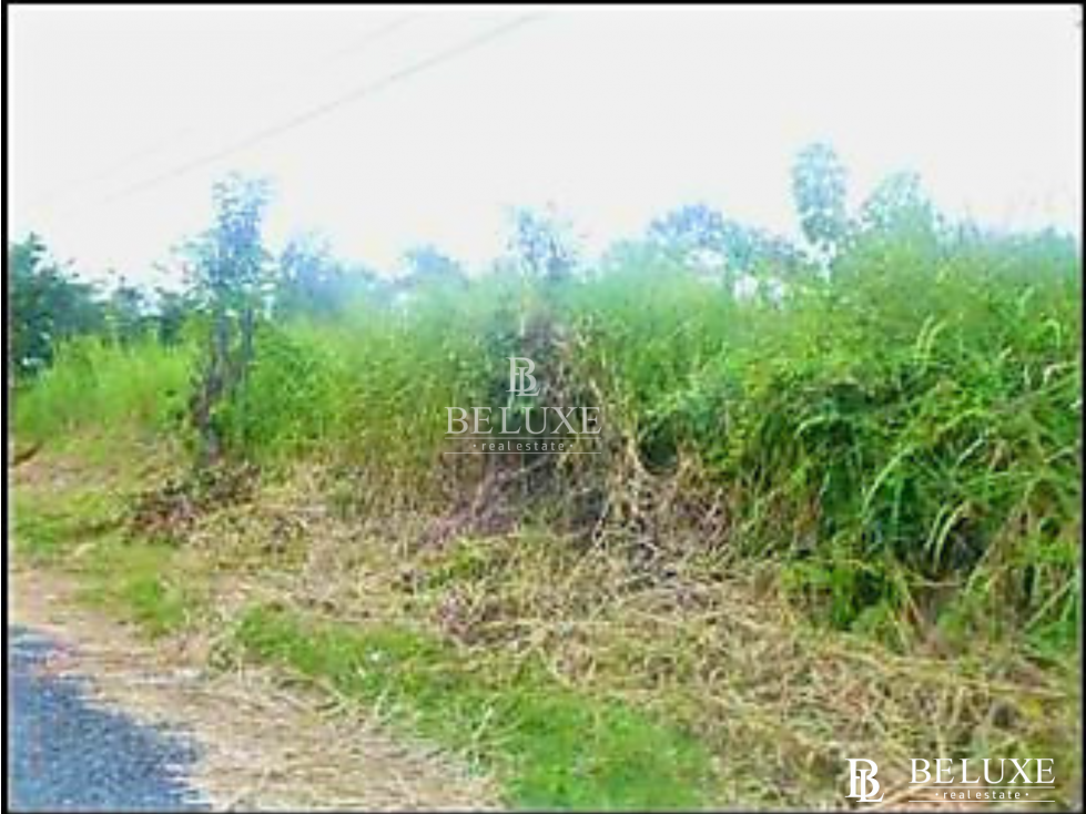 VENTA DE TERRENO EN CORONADO, PLAYA GORGONA (6) — foto 6