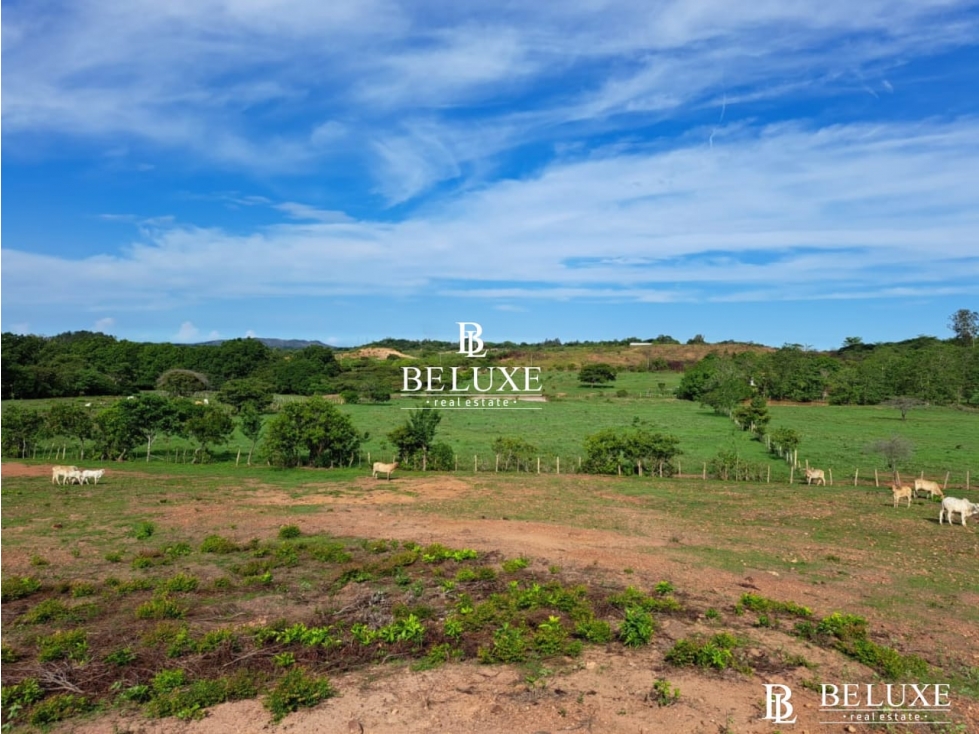 VENDO TERRENO EN AGUADULCE COCLE (6) — foto 4