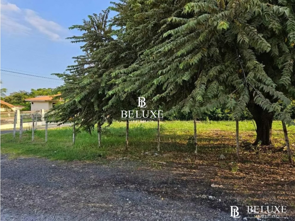 VENDO TERRENO EN NUEVA GORGONA CHAME (6)