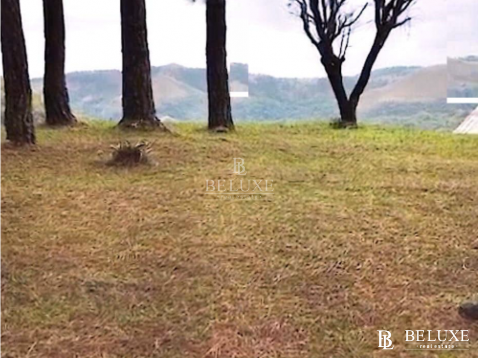 VENDO TERRENO/ LOTE PARA DESARROLLO EN VALLE DE ANTON (6) - 3