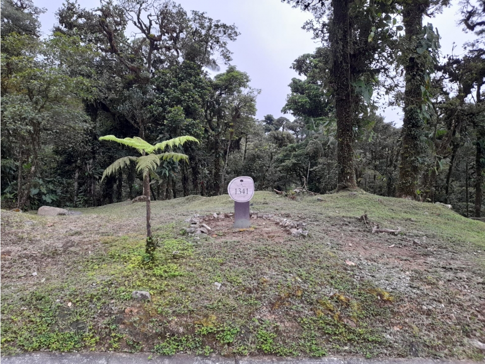 VENTA DE TERRENO EN ALTOS DEL MARÍA, RESIDENCIAL VALLE BONITO -(6-4) — foto 2