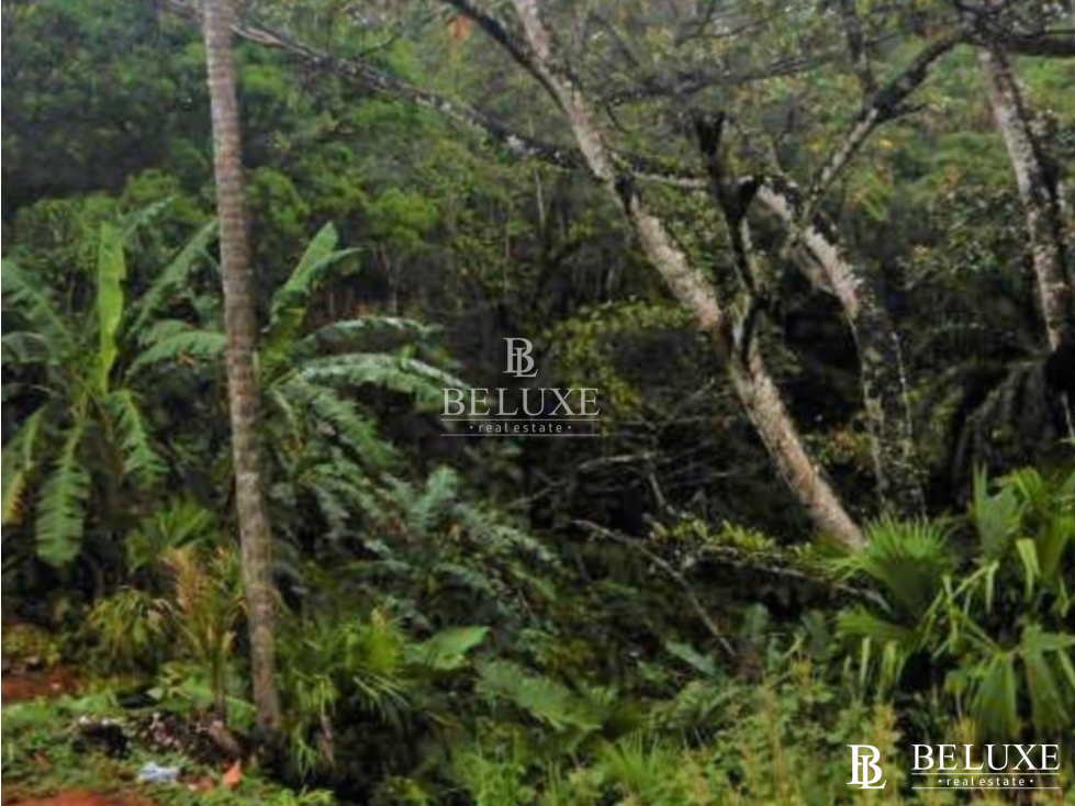 VENDO TERRENO EN COLÓN, OPORTUNIDAD DE INVERSIÓN (13) - 6