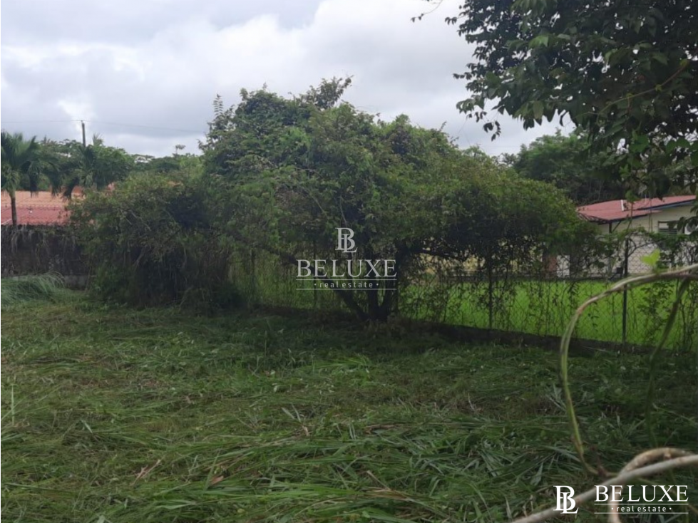 VENDO TERRENO EN CORONADO (13) — foto 6